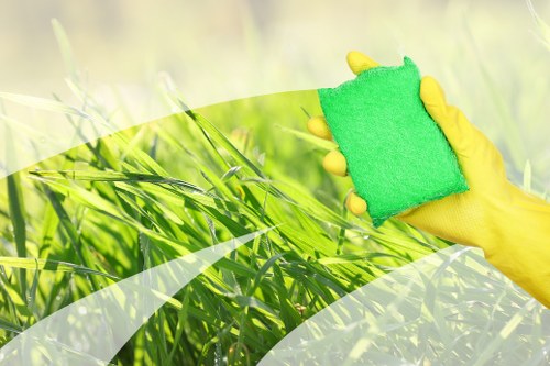 Professional cleaners in Ilford providing domestic cleaning services