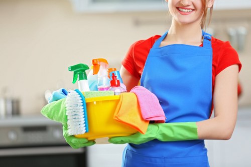 Professional oven cleaning in Ilford with a spotless kitchen appliance