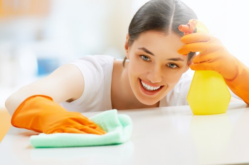 Professional Ilford cleaner providing home cleaning service