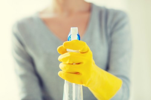 Professional cleaner assessing a reported issue