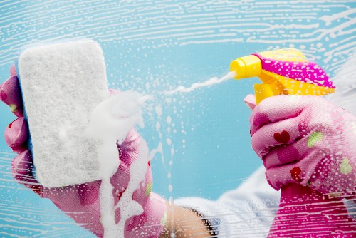Supplier audit and due diligence image for Ilford Cleaner
