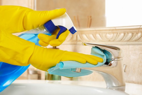 Illustration representing screen-reader compatibility on the Ilford Cleaner website