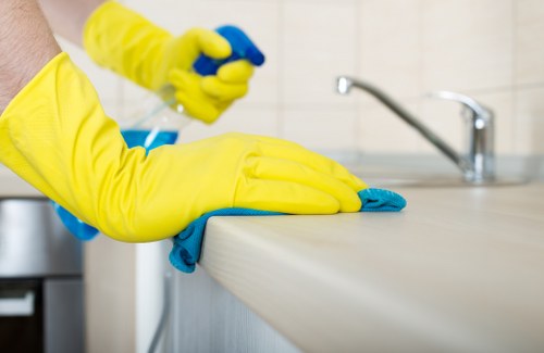 Cleaner in Ilford helping keep a home or office fresh and organized