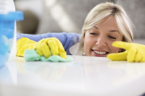 Long-term cleaning value and company identity for Ilford Cleaner