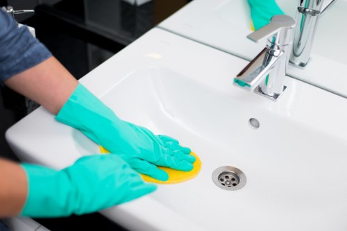 Professional cleaner in Ilford providing domestic cleaning services