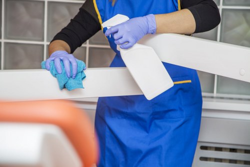 Local cleaner in Ilford working in a residential property